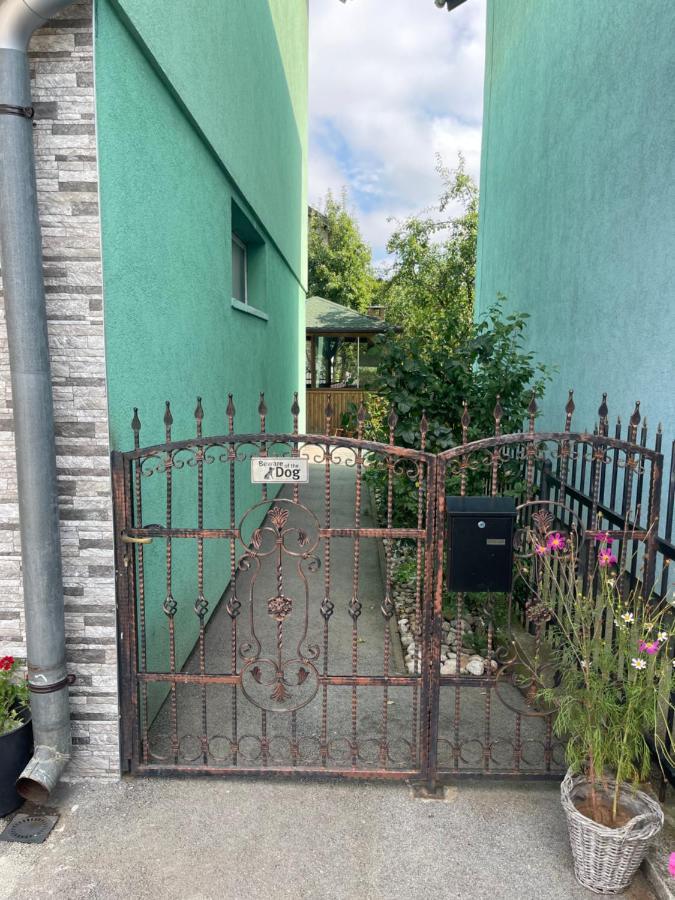 Apartment Rea Ilidza 2 サラエヴォ エクステリア 写真